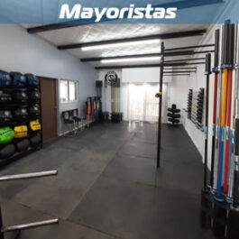 Mayoristas