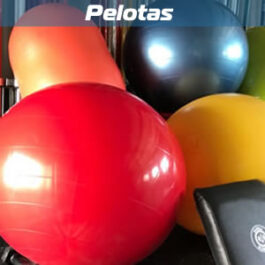 Pelotas