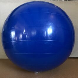 PELOTA 65cm esferodinamia