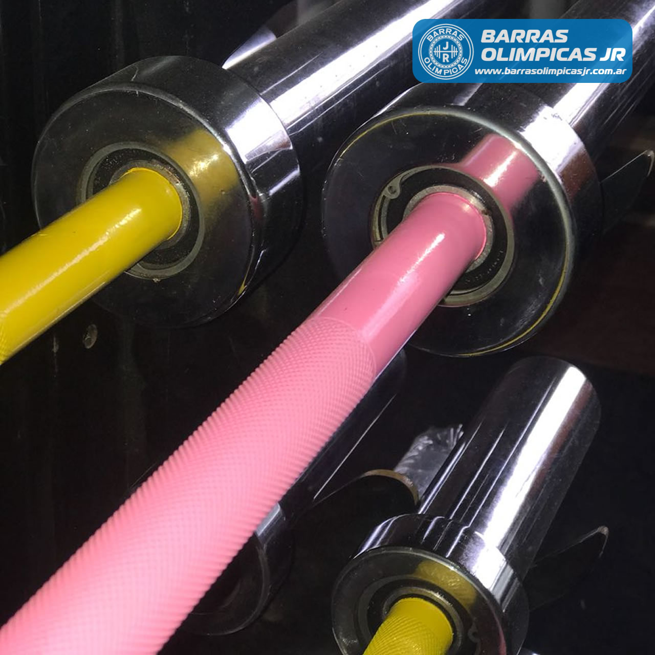 Barra Olímpica Color 8 kg x 1,70 mts