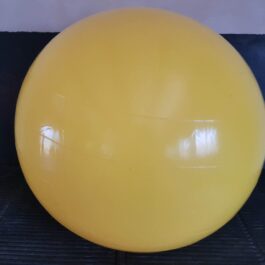 PELOTA 85cm esferodinamia