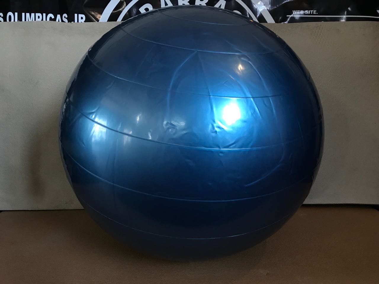 PELOTA 55CM esferodinamia